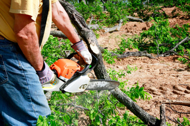 Mulching Services in Etowah, TN